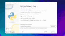 a screenshot of the advanced options window for python