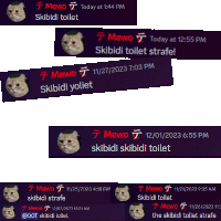 a screenshot of a chat between mewo and skibidi