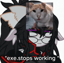 a drawing of a girl with a cat on her head and the words " exe stops working " below her