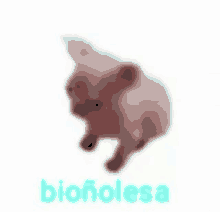 a small pink pig is standing on a white background with the word bioholesa written on it .