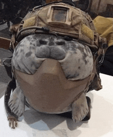 a stuffed seal is wearing a helmet and a mask