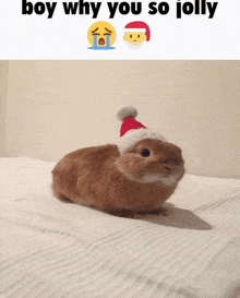 a picture of a rabbit wearing a santa hat with the words boy why you so jolly below it