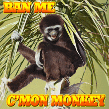 a picture of a monkey with the words ban me c'mon monkey