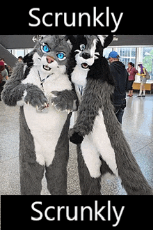 two furry costumes are standing next to each other and the words scrunkly scrunkly are on the bottom