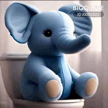 a blue stuffed elephant sits on a toilet with bigo live written on the bottom