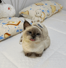 a cat wearing a hat with the word news on it is sticking its tongue out