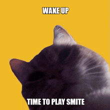 a cat with the words wake up time to play smite on it