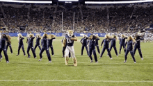 a group of cheerleaders are dancing on a field with a mascot wearing a jersey with the number 80 on it