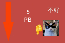 a picture of a cat wearing sunglasses and an arrow pointing down with the numbers -5 pb below it