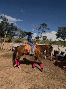 a woman is riding a brown horse in a fenced in area