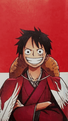 a drawing of monkey d luffy with a straw hat