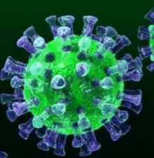 a green and purple virus with a black background .