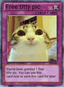 a card that says free titty pic with a picture of a cat on it