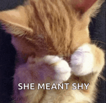 a cat covering its eyes with its paws and the words she meant shy below it