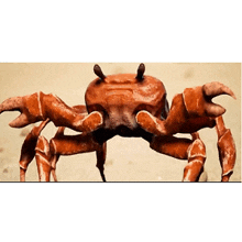 a close up of a crab 's face with a white background