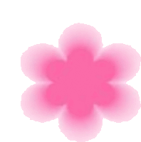 a pink flower on a white background with a shadow