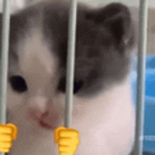 a kitten is sitting in a cage behind bars .