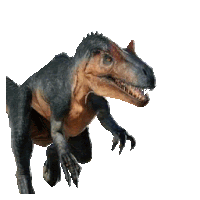 a close up of a dinosaur with a white background