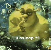 a shrek meme with hearts and the words u asleep ??