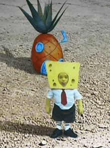 a cartoon character with a pineapple on his head and a sponge on his head