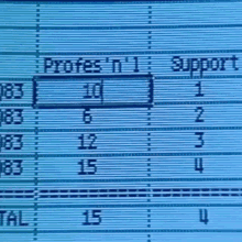 a computer screen shows a list of numbers including profes ' t ' i and support