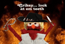 elmo is wearing a cowboy hat and holding a knife with the words crikey look at em teeth