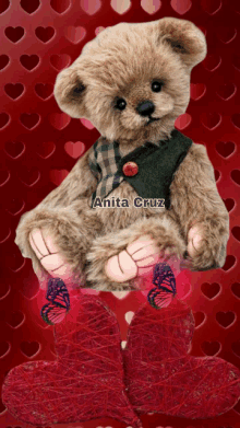 a brown teddy bear with the name anita cruz on the bottom