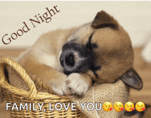 a puppy sleeping in a wicker basket with the words good night family love you