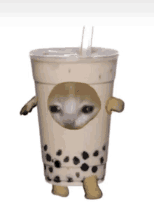 a cup of bubble tea with a cat on it