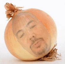 an onion with a picture of a man 's face on it .