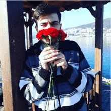 a man in a striped sweater holds a bunch of red flowers in front of his face