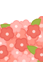 a bunch of pink flowers on a white background