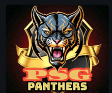 a logo for the psg panthers is shown