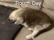 a cat laying on a couch with the words rough day written above it