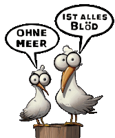 two seagulls are standing next to each other and one says ohne meer