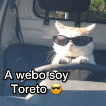 a cat wearing sunglasses sits in the driver 's seat of a vehicle