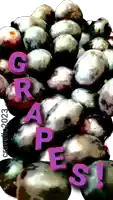 a bunch of grapes with the word grapes written on it