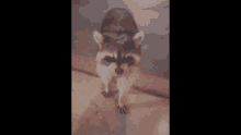 a blurred image of a person standing on a concrete floor .