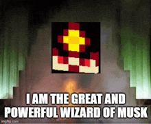 a picture of a wizard with the words " i am the great and powerful wizard of musk "