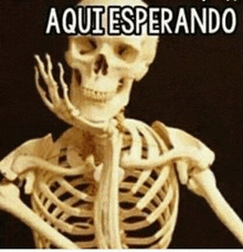 a skeleton with the words aqui esperando written on it