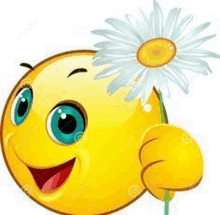 a smiley face is holding a daisy in his hand .