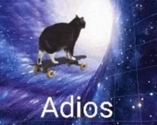 a cat is riding a skateboard through a galaxy in space .