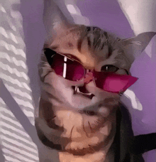 a painting of a cat wearing pink sunglasses with its mouth open