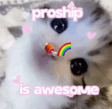 a close up of a cat with a rainbow and the words `` proship is awesome '' on it .