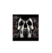 a deftones album cover has a skull on it