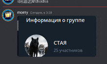 a screenshot of a russian chat with a picture of wolves