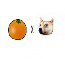 a drawing of an orange and a dog with the letter x on it