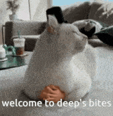 a white cat laying on a couch with the words welcome to deep 's bites written below it