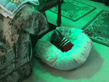 a dog in a red and white striped shirt is laying in a white dog bed