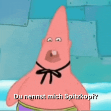 patrick star from spongebob says du nennt mich spitzkopf